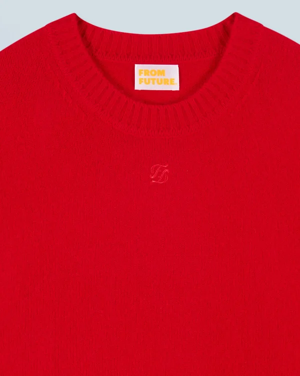 Pull Col Rond^FROM FUTURE Online