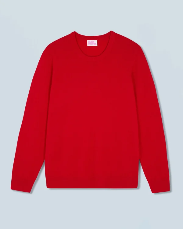 Pull Col Rond Basique^FROM FUTURE Cheap