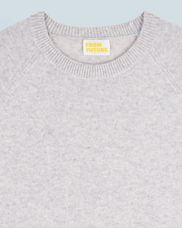 Pull Col Rond Léger^FROM FUTURE Online