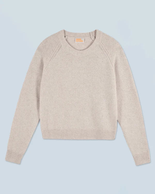 Pull Col Rond Raglan^FROM FUTURE New
