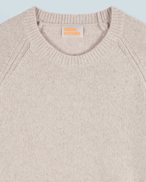 Pull Col Rond Raglan^FROM FUTURE New