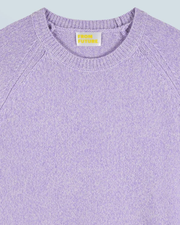Pull Col Rond Raglan^FROM FUTURE Store