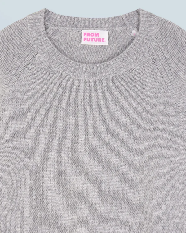 Pull Col Rond Raglan^FROM FUTURE Discount