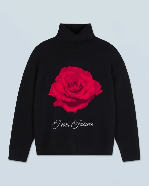 Pull Col Roulé^FROM FUTURE Clearance