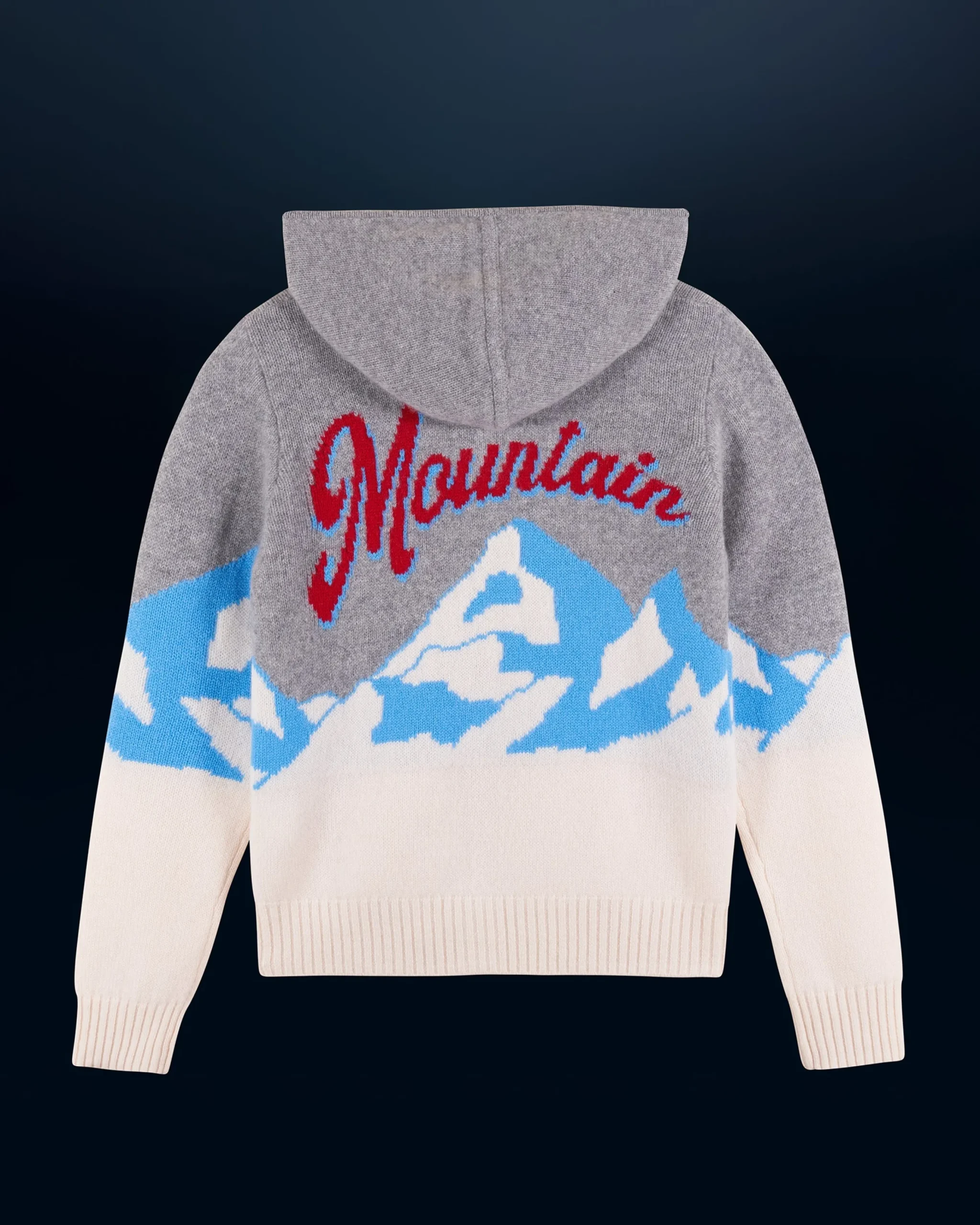 pull_hoodie_montagne_3.webp Pull Hoodie Montagne^FROM FUTURE Sale