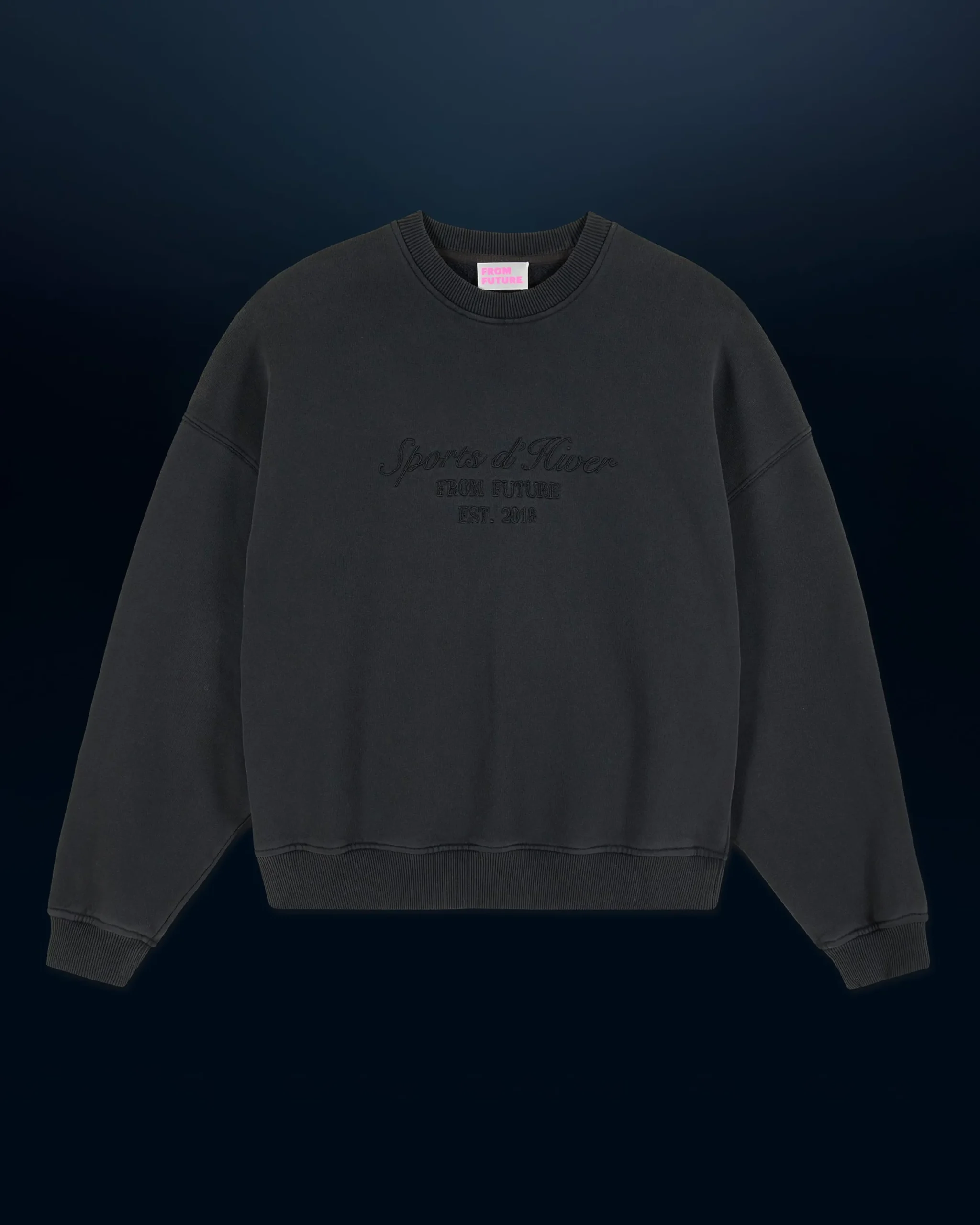 sweatshirt_hoodie_ski_club_5.webp Sweatshirt Hoodie Ski Club^FROM FUTURE Clearance
