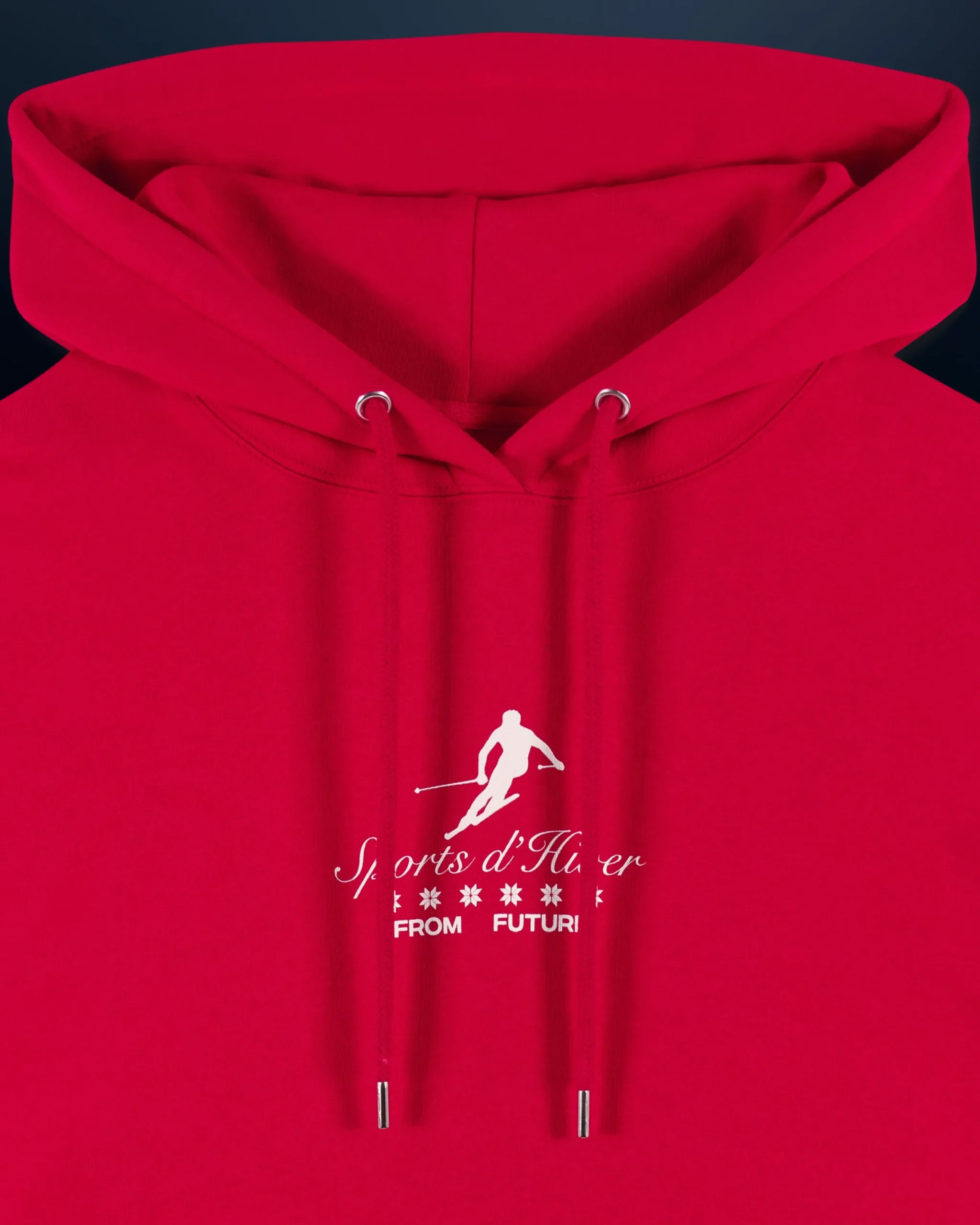 sweatshirt_hoodie_ski_club_6-1.webp Sweatshirt Hoodie Ski Club^FROM FUTURE New