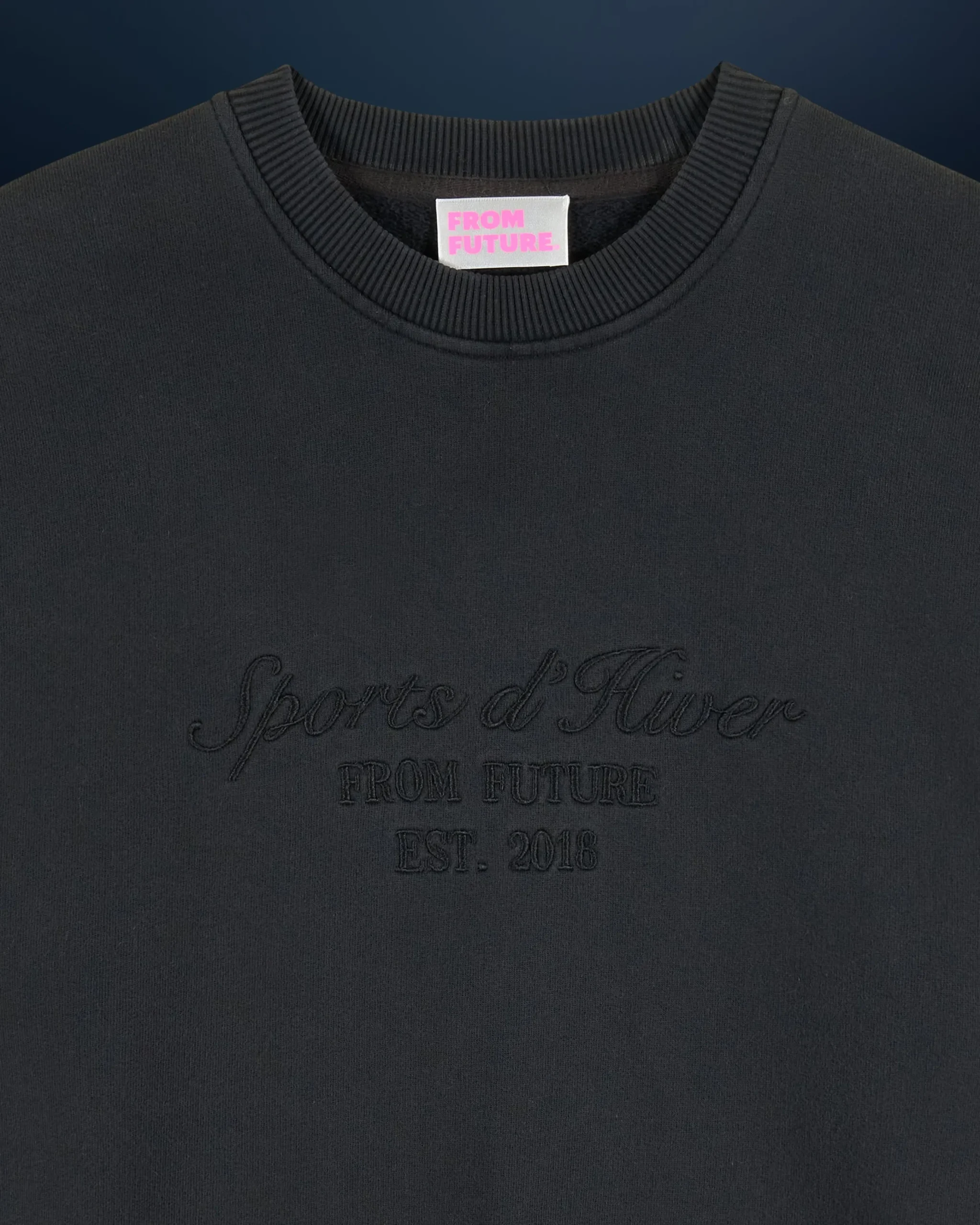 sweatshirt_hoodie_ski_club_6.webp Sweatshirt Hoodie Ski Club^FROM FUTURE Clearance